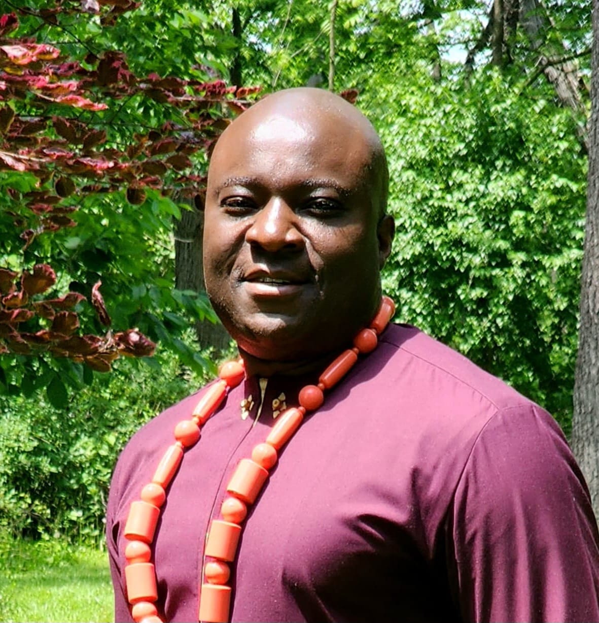 Professor Ike Desmond Odugu
